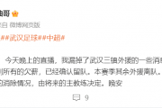 中超风云再起：武汉三镇能否凤凰涅槃，重返巅峰？