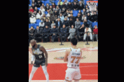 张镇麟抱胳膊引发争议，辽宁队是否错失夺冠良机？
