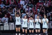 女排世俱杯决赛之夜！CCTV5独家直播，你准备好见证历史了吗？