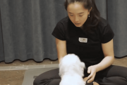 “田志希回归北京，幸福生活背后隐藏着怎样的故事？”