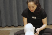 “韩国乒乓女王回归故里，她的中国籍丈夫竟是前国手？揭秘田志希的跨国爱情故事！”