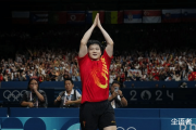 真相何在？樊振东与世界乒联的争议背后，球迷力挺的背后隐藏着什么秘密？