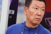 山东鲁能新赛季引援策略大揭秘：32岁前锋加盟，能否重燃昔日辉煌？