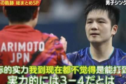 樊振东退出世界排名，国乒损失有多大？听听张本智和波尔怎么说