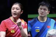 乒坛风云突变：樊振东陈梦遭除名，连头像都不留？这背后究竟隐藏着什么秘密？