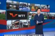 樊振东与陈梦的抗议行动：WTT新规是否真的侵犯了运动员权益？