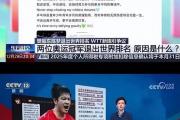 樊振东与陈梦的抗议行动：WTT新规是否真的侵犯了运动员权益？