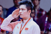 樊振东与陈梦为何退出世界排名？乒乓球职业化之路究竟走向何方？