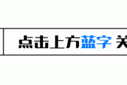 乒坛风暴：WTT新规引发退赛潮，樊振东陈梦的选择是否揭示了背后的秘密？