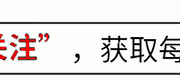 日本网友为何怒斥张本智和？金牌失利背后隐藏着怎样的压力与挑战？