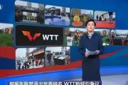樊振东与陈梦为何选择休养生息？背后隐藏着怎样的故事？