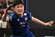国乒能否重夺霸主地位？日本崛起，张本智和领衔三冠王！
