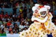 运营一支CBA球队，一年要投入多少？你猜得到吗？