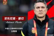 国足新帅人选揭晓，高洪波落选，伊万面临下课危机？