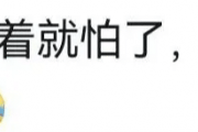 王楚钦夺冠，王皓成'起立冠军'？网友热议背后的赛场趣事